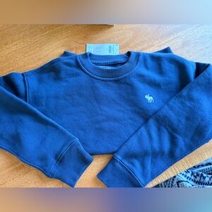 Abercrombie Kids essential Sweatshirt